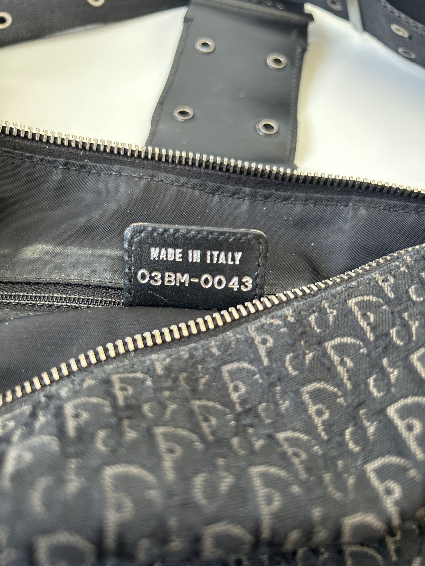 Y2k Dior street chic half moon hobo handbag