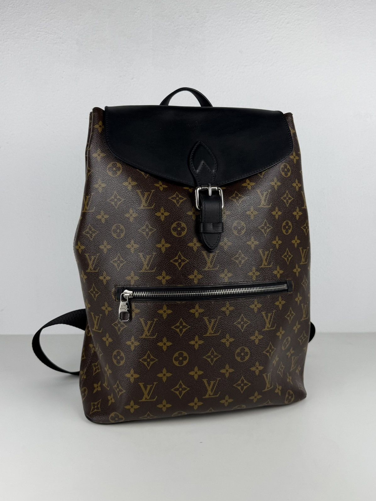 Louis Vuitton monogram Macassar Palk backpack