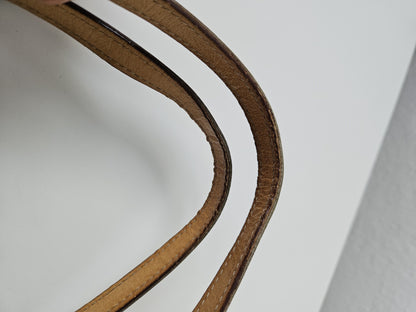 Y2k Dior by John Galliano trotter oblique monogram tote