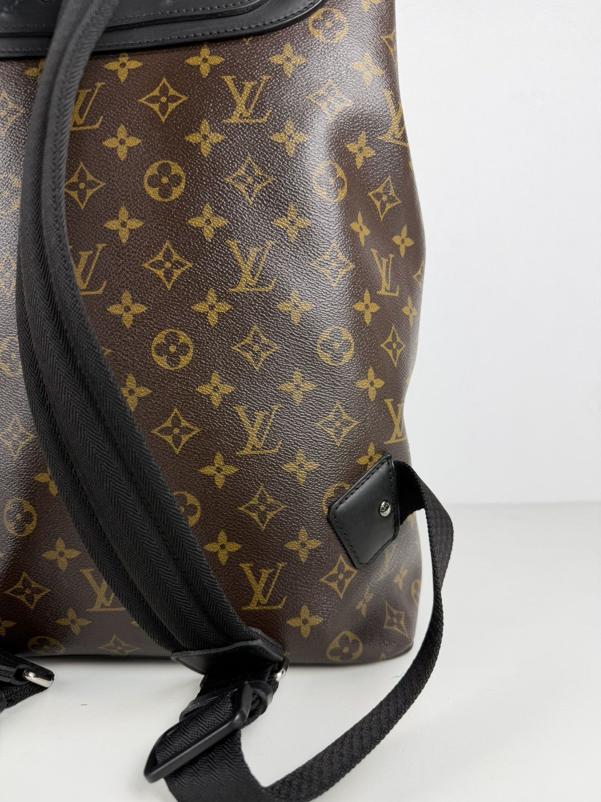Louis Vuitton monogram Macassar Palk backpack
