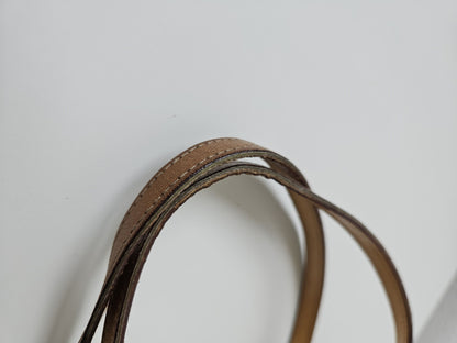 Y2k Dior by John Galliano trotter oblique monogram tote