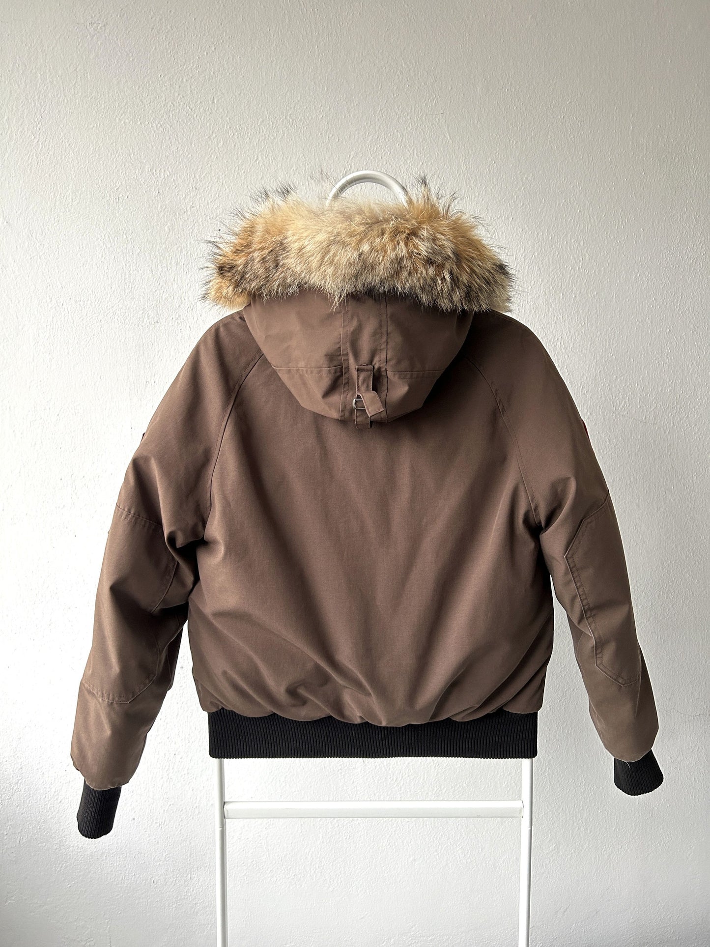Canada goose chilliwack hooded bomber jacket