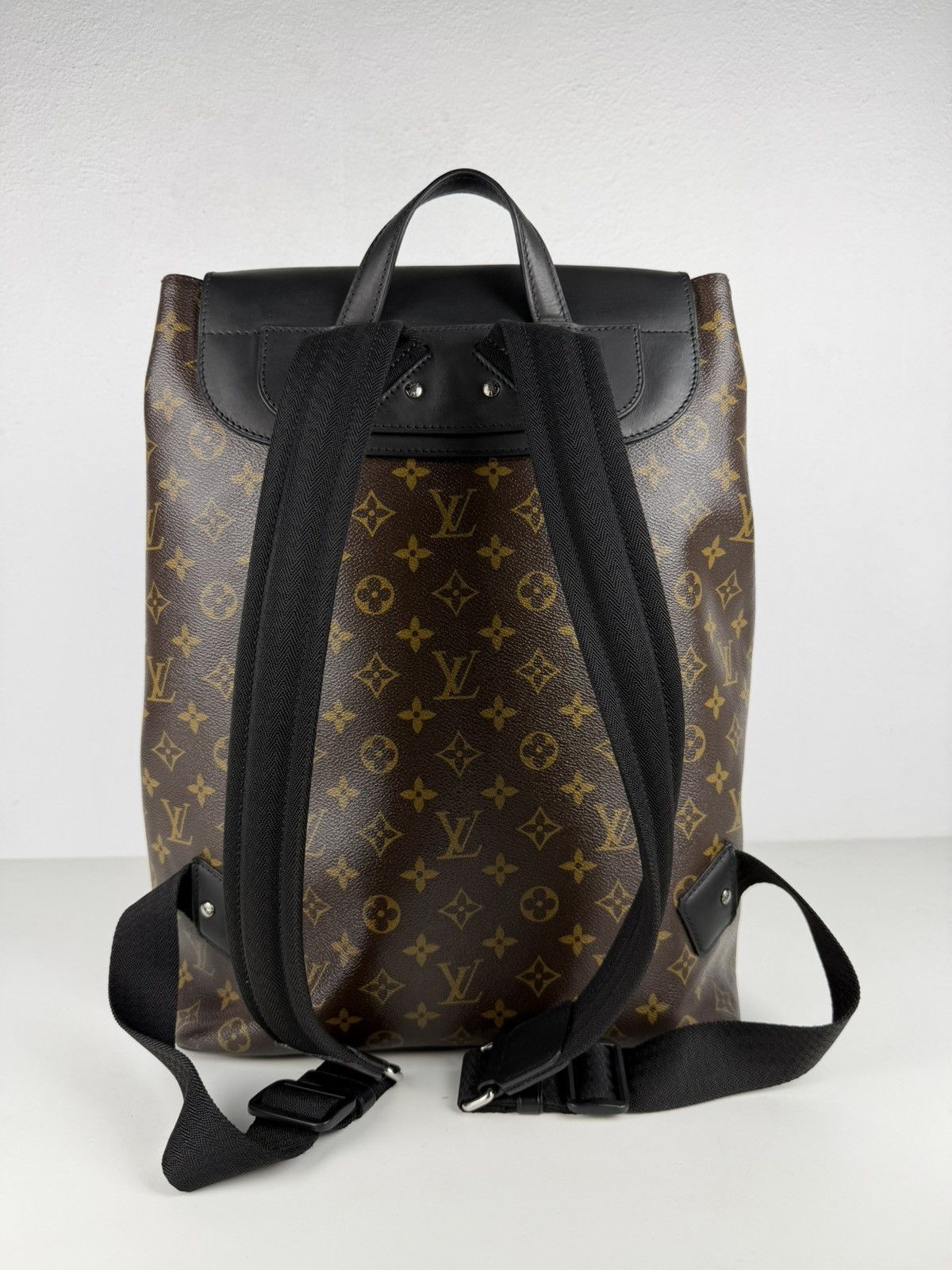 Louis Vuitton monogram Macassar Palk backpack
