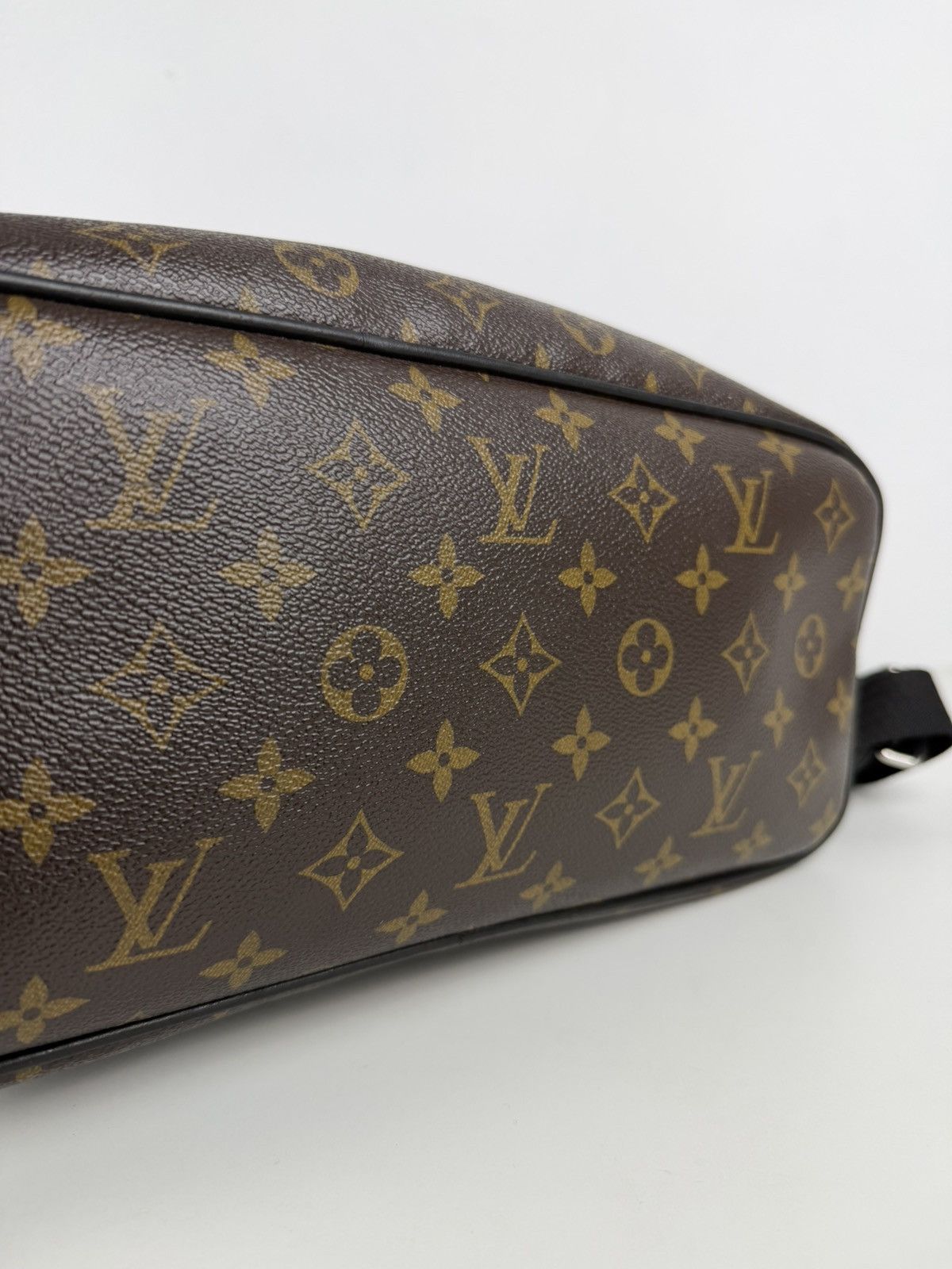 Louis Vuitton monogram Macassar Palk backpack