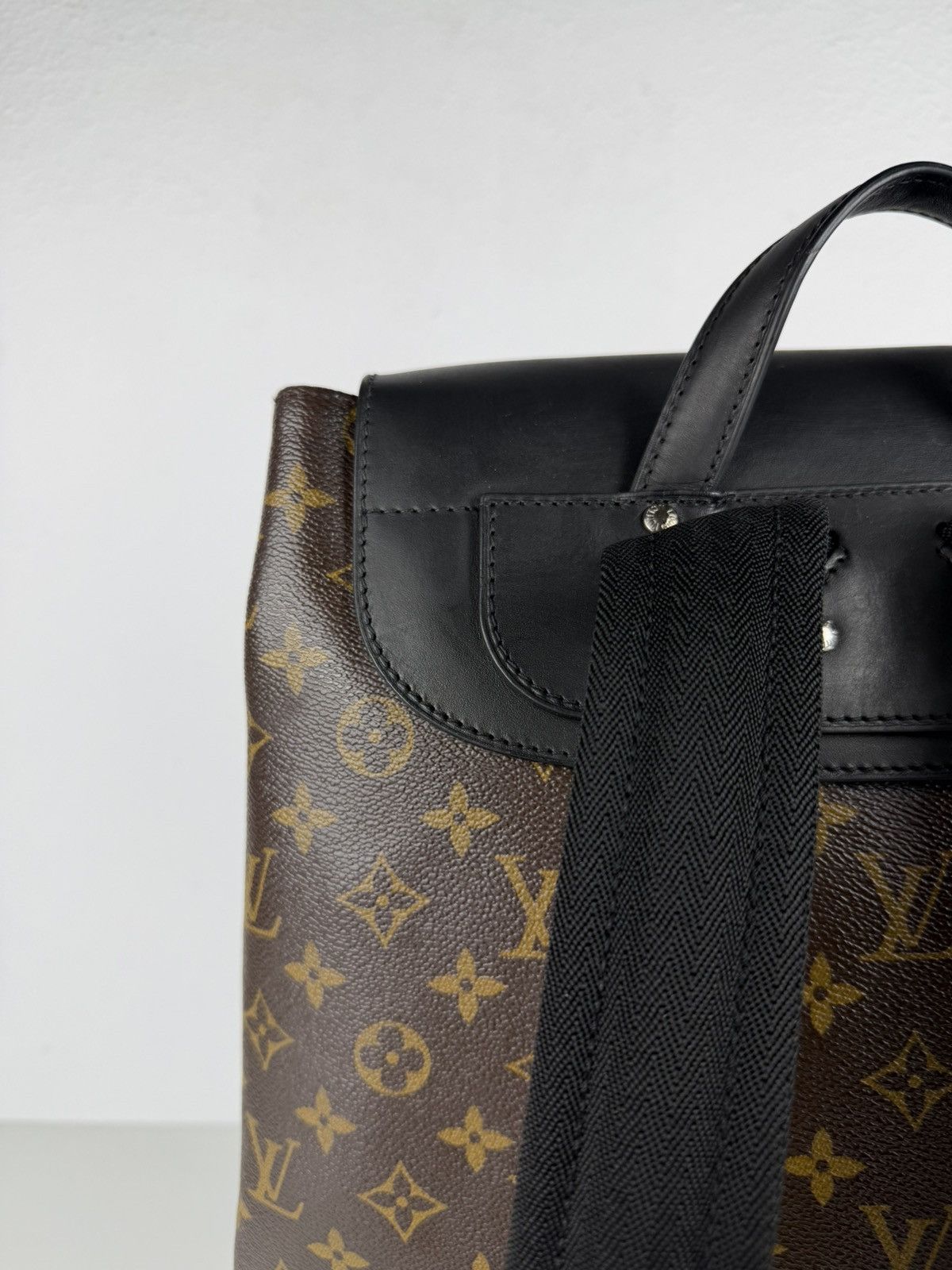 Louis Vuitton monogram Macassar Palk backpack