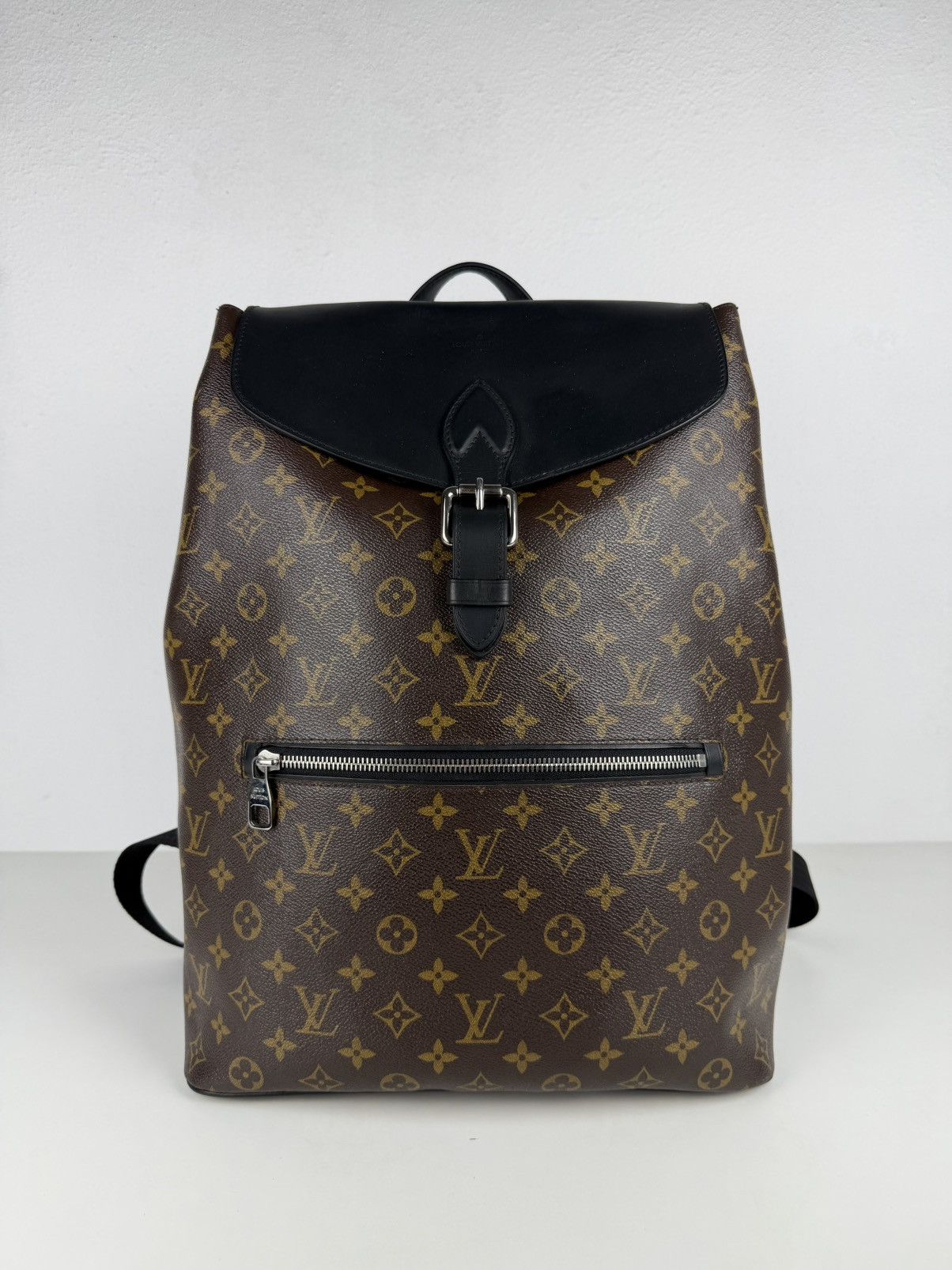 Louis Vuitton monogram Macassar Palk backpack