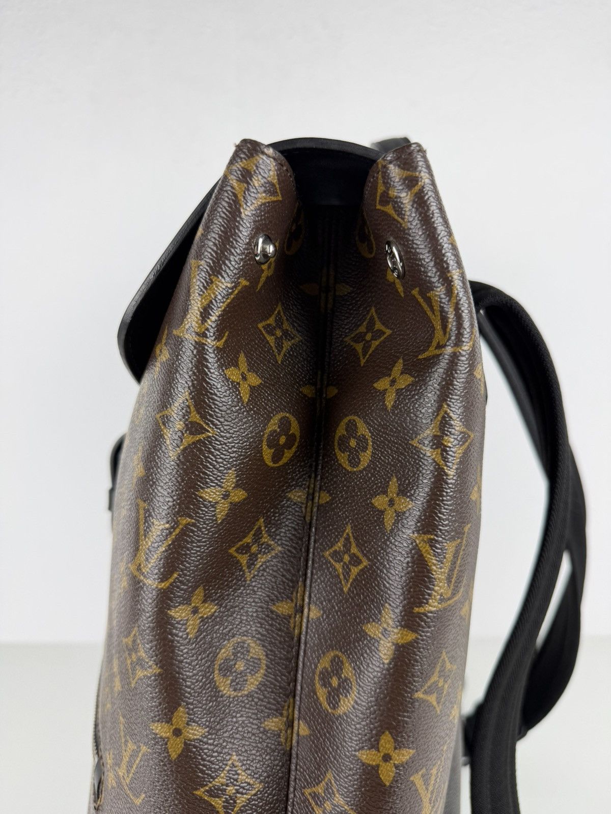 Louis Vuitton monogram Macassar Palk backpack