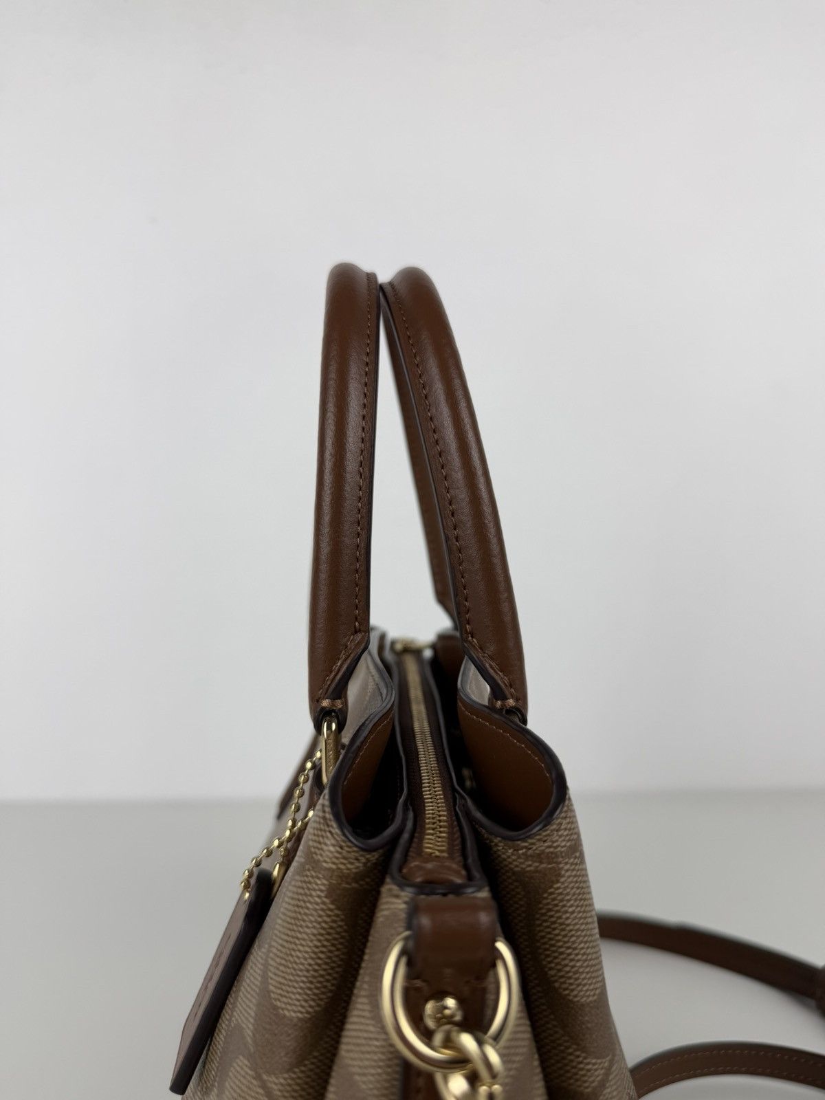 Coach coated signature mini sage carryall handbag