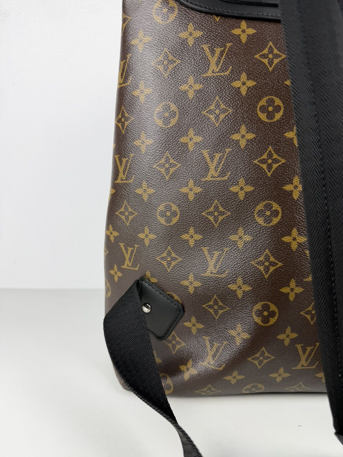 Louis Vuitton monogram Macassar Palk backpack