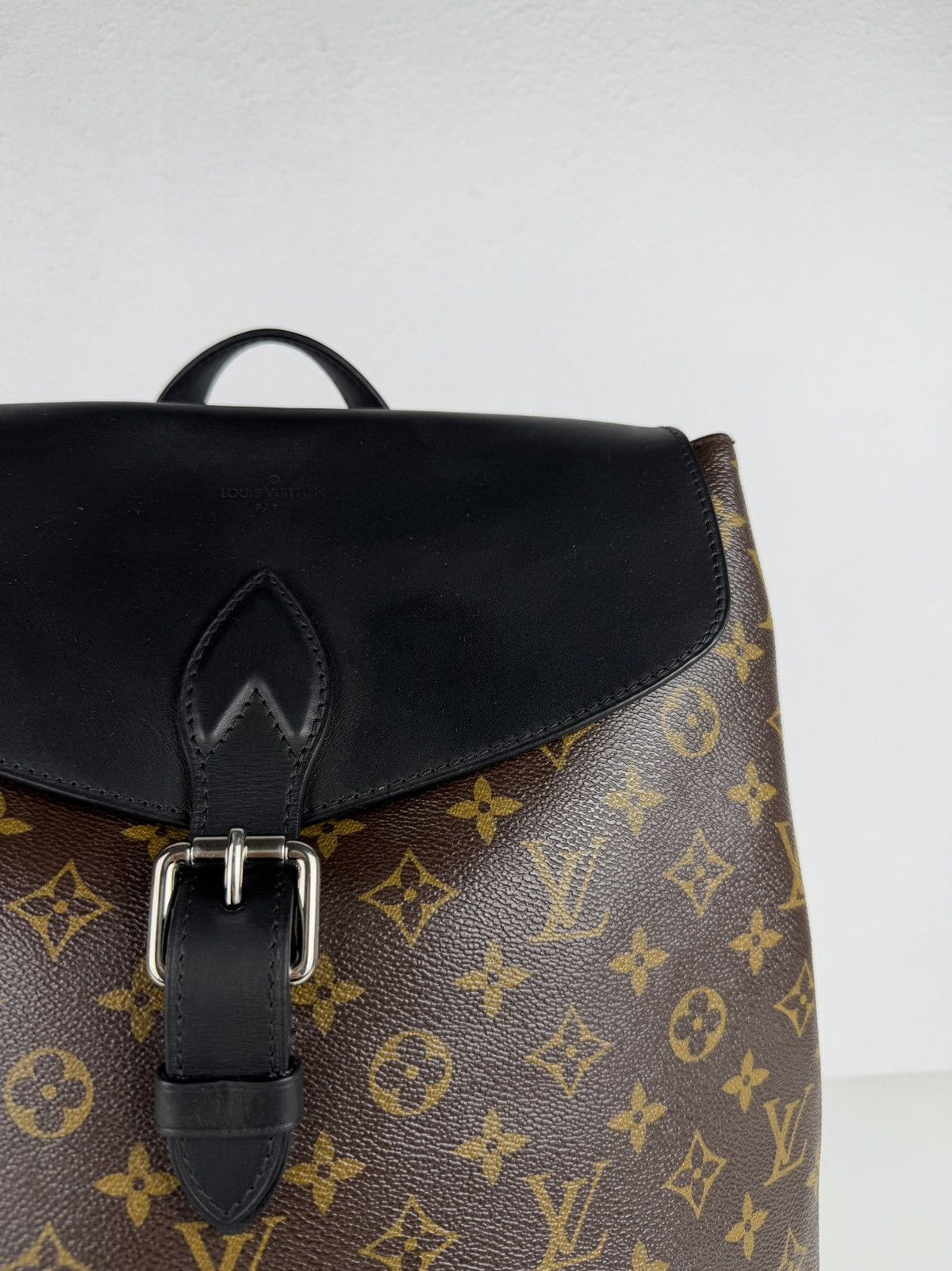 Louis Vuitton monogram Macassar Palk backpack