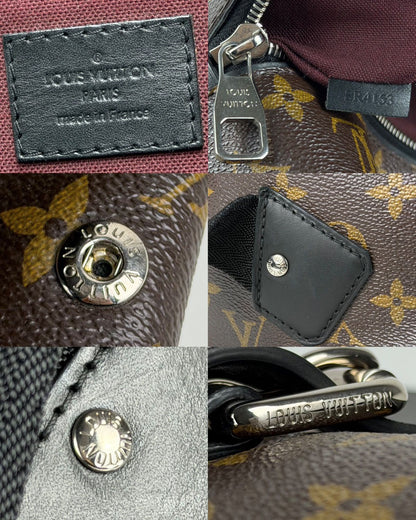 Louis Vuitton monogram Macassar Palk backpack